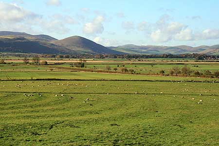 Farmland at Doddington
