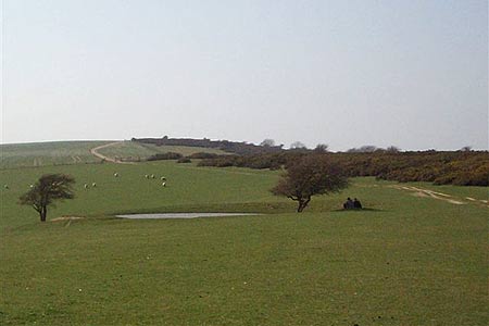 One of several dew ponds seen close to the South Downs Way