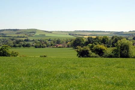 Meon Valley with view to Old Winchester Hill
