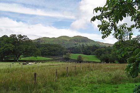 Photo from the walk - Skelwith Bridge & Loughrigg