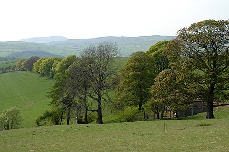 The Shropshire Hills looking towards Corndon Hill
