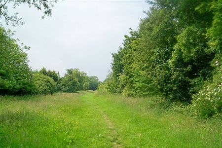 Typical view on the Epping Long Green path