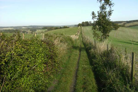 The ridge path to Crundale Church