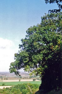 The view across North Bedfordshire from near Haynes