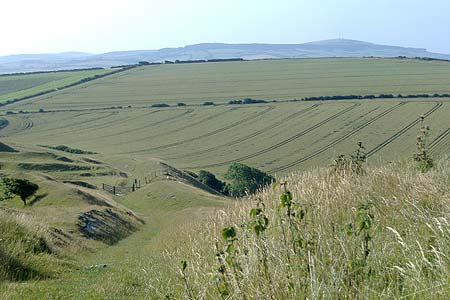 Downland scenery south of Carisbrooke