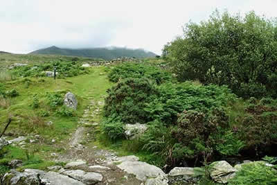 Photo from the walk - Yr Elen from Gerlan