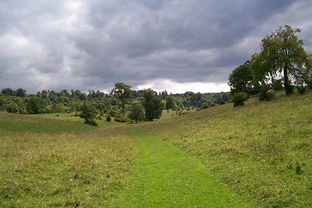 Photo from the walk - Tring & Wendover Woods