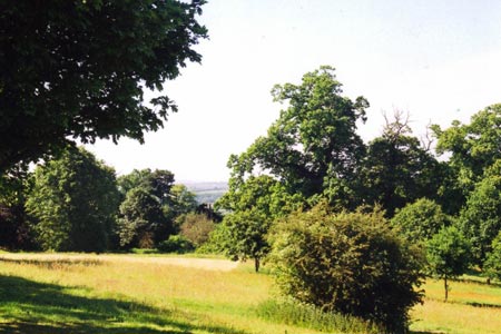 Ampthill Park
