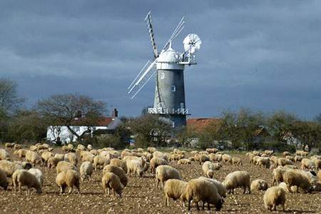 Bircham Windmill, Great Bircham, Norfolk