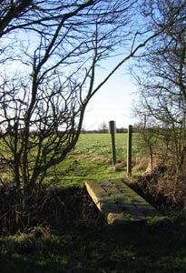 Photo from the walk - Buxhall to Drinkstone Green