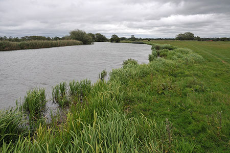 River Thames near Wytham, Oxfordshire