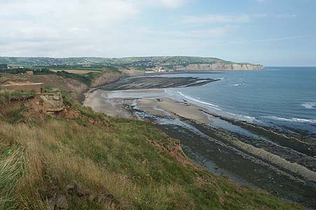 Low tide near Stoupe Beck on the Cleveland Way
