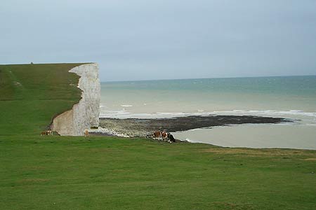 Looking back at one of the Seven Sisters