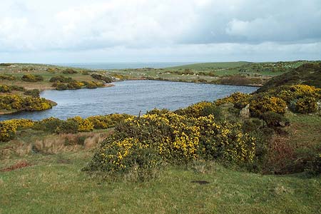 The small lake near Mynachdy