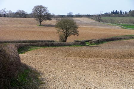 Farmland south of Burghclere, Hampshire

