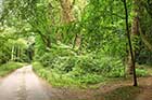 Steeple Langford, Wiltshire walk
