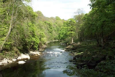 The River Wharfe near Bolton Abbey