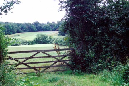 Bayford Woods from the Hertfordshire Way