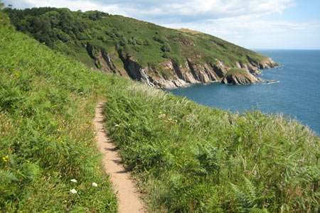 The South West Coast Path above Pudcombe Cove
