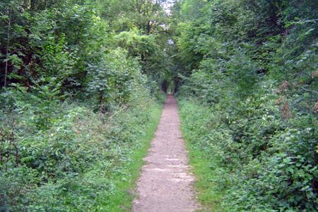 Meon Valley trail (disused railway)