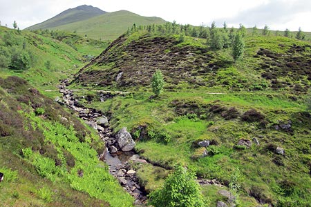 The Ben Lawers path crosses a stream at the Nature Reserve.