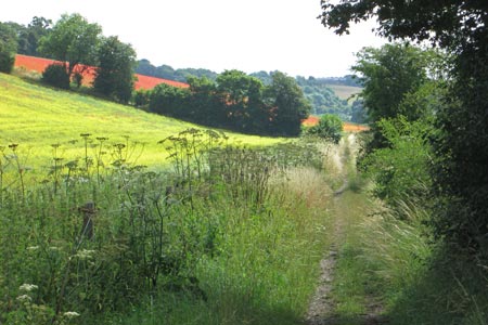Herbert's Hole path, Chiltern link route, Chesham