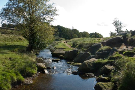 Burbage Brook in  the ground of Longshaw Estate