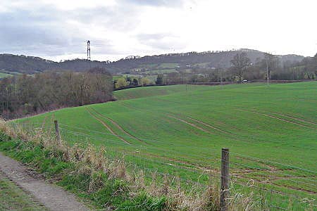 The Abberley Hills ridge ahead, from near Netherton House