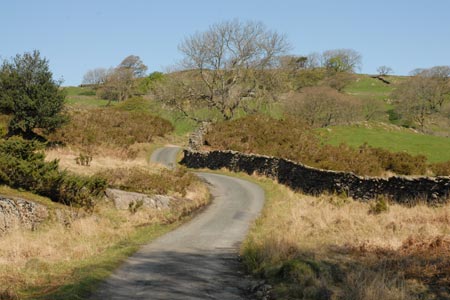 The lane leading from Stable Harvey to the main road