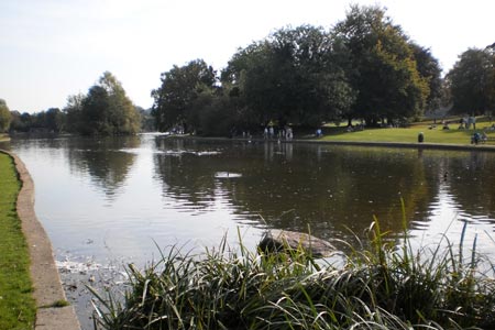 Ornamental lake in Verulamium Park, St Albans