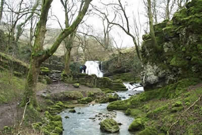 Janet's Foss is a waterfall in Gordale, Malham