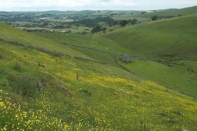 Narrowdale lies in Staffordshire north of Alstonefield