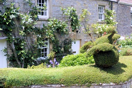 Topiary at a cottage in North Wootton