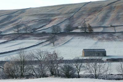 A frosty morning in Wharfedale with dry stone walls