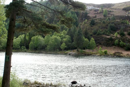 Llyn Bychan, a small but pretty lake in the Gwydir Forest