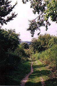 Descent from Watlington Hill