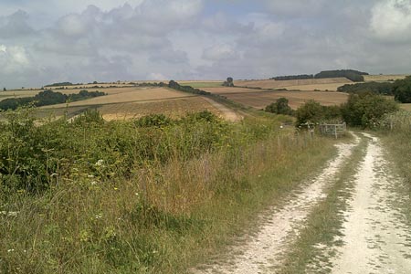 South Downs, towards Rackham Hill