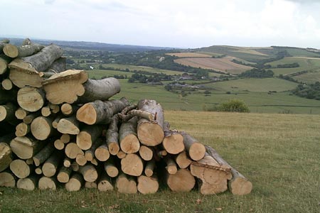 Pile of logs and Amberley in the distance