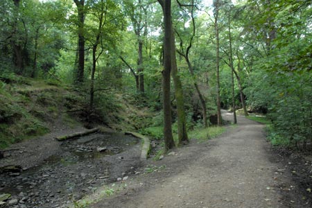 The path descending to West Parkgate, Lyme Park