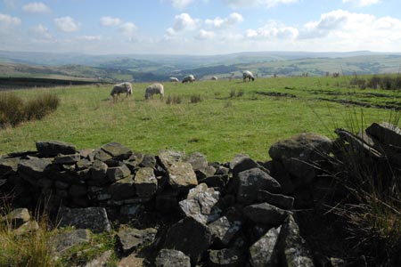 View east to Kinder Scout from the Gritstone Trail