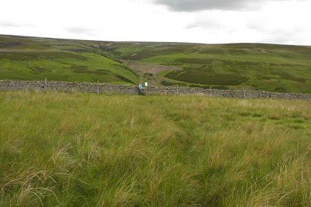 Moorland above Middleton-in-Teesdale