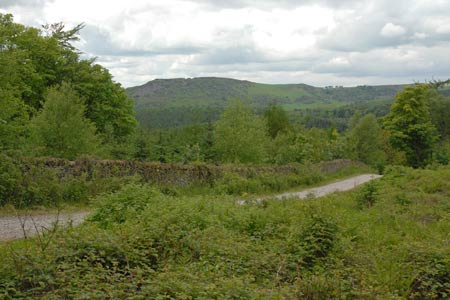 Photo from the walk - Shutlingsloe and Macclesfield Forest from Trentabank