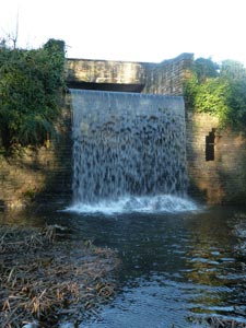Newstead Abbey - the Waterfall
