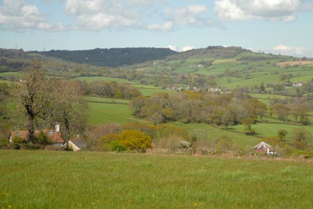 View of Dorset countryside near Charmouth
