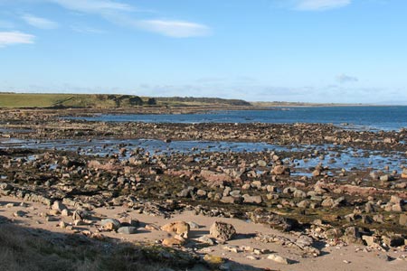 The coast between Fife Ness and Cambo Ness
