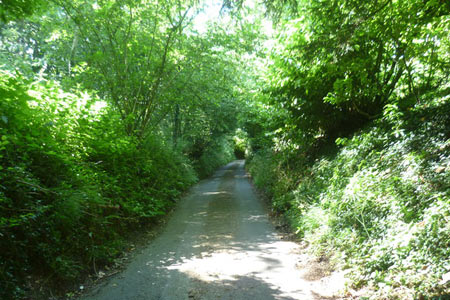 Magpie Bottom leads downhill to Eastdown
