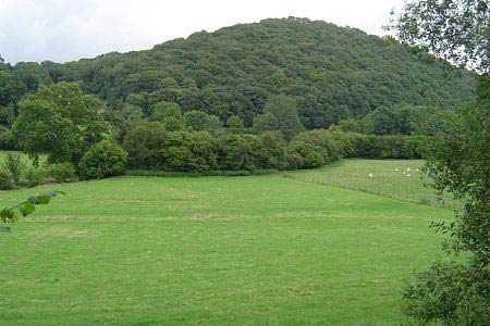 Pyon Wood conceals a hill fort