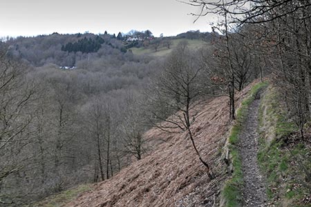 Photo from the walk - Churnet Valley