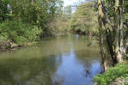 River Derwent near Buttercrambe