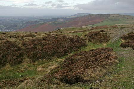Summit of Penycloddiau Fort with old ditches